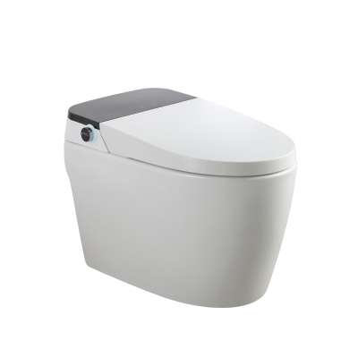 ST-691 One Piece Smart Toilet Automatic Warm Air Drying Bidet Toilet