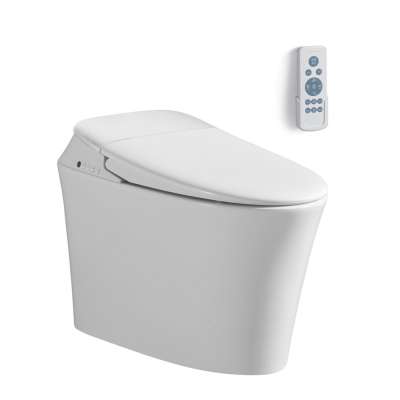 ST-8001 One Piece Intelligent Foot Flush Hygienic Bumpers Seat Smart Toilet