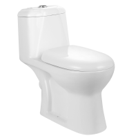 One piece toilet flush valve indian type water closet indian toilet seat price