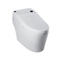 Intelligent One Piece Toilet, Electronic Toilet Seat V8700